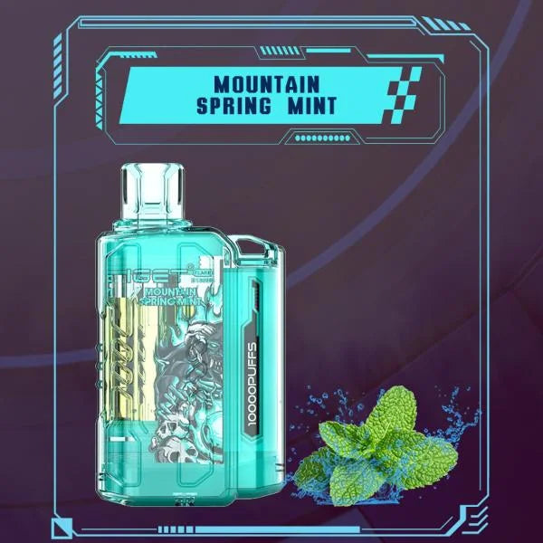 IGET FLARE B10000 – Mountain Spring Mint - Vape Shop Vijayawada