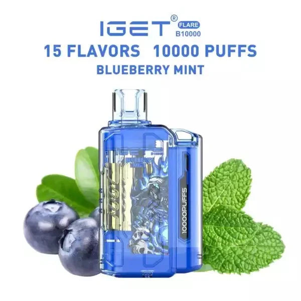 IGET FLARE B10000 – Blueberry Mint - Vape Shop Vijayawada